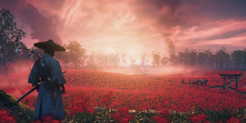 ghosts-of-tsushima-iki-island-flower-field