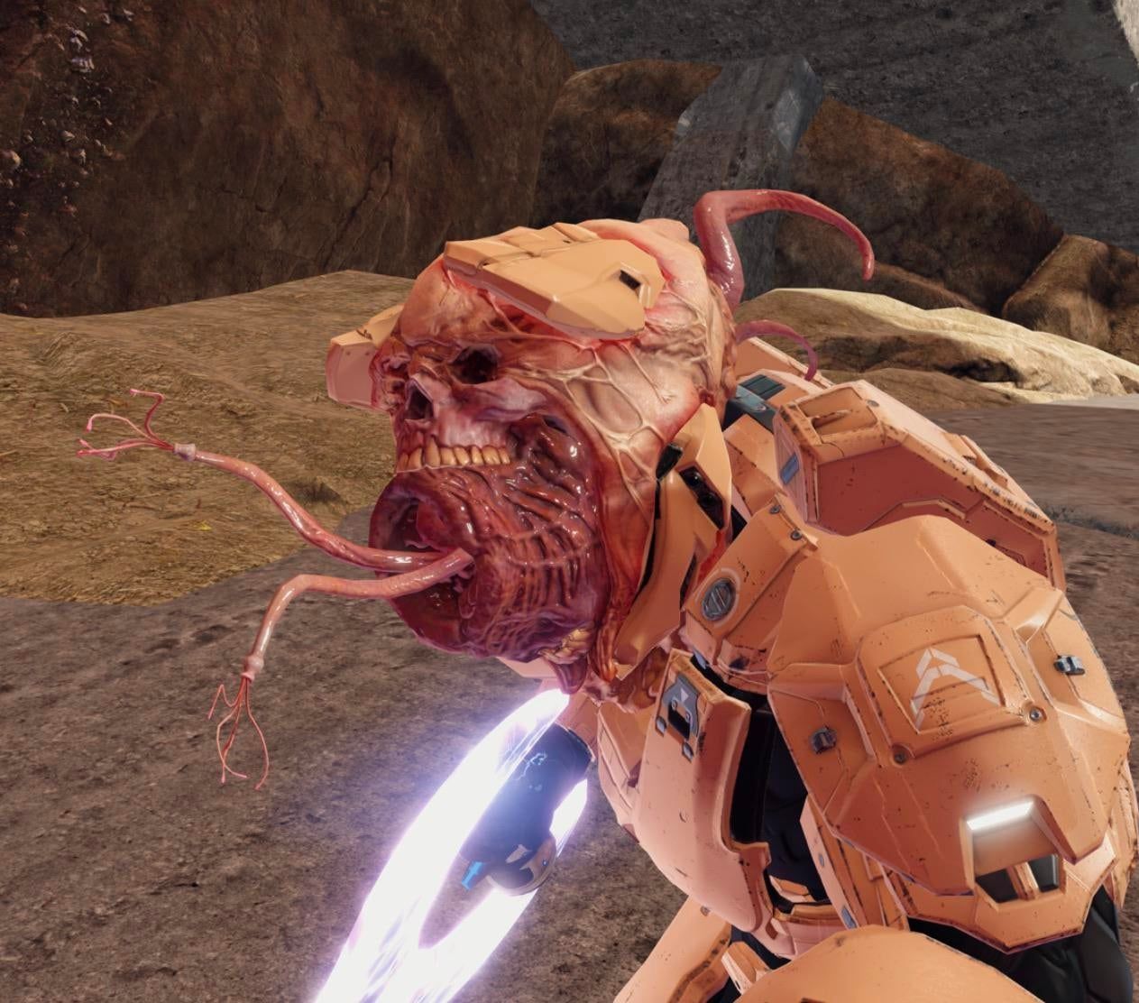 halo 2 anniversary flood infection form