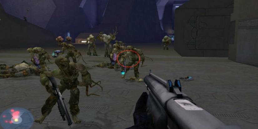 Halo: Explaining the History of the Flood