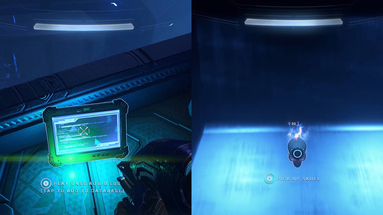 halo infinite foundation collectibles