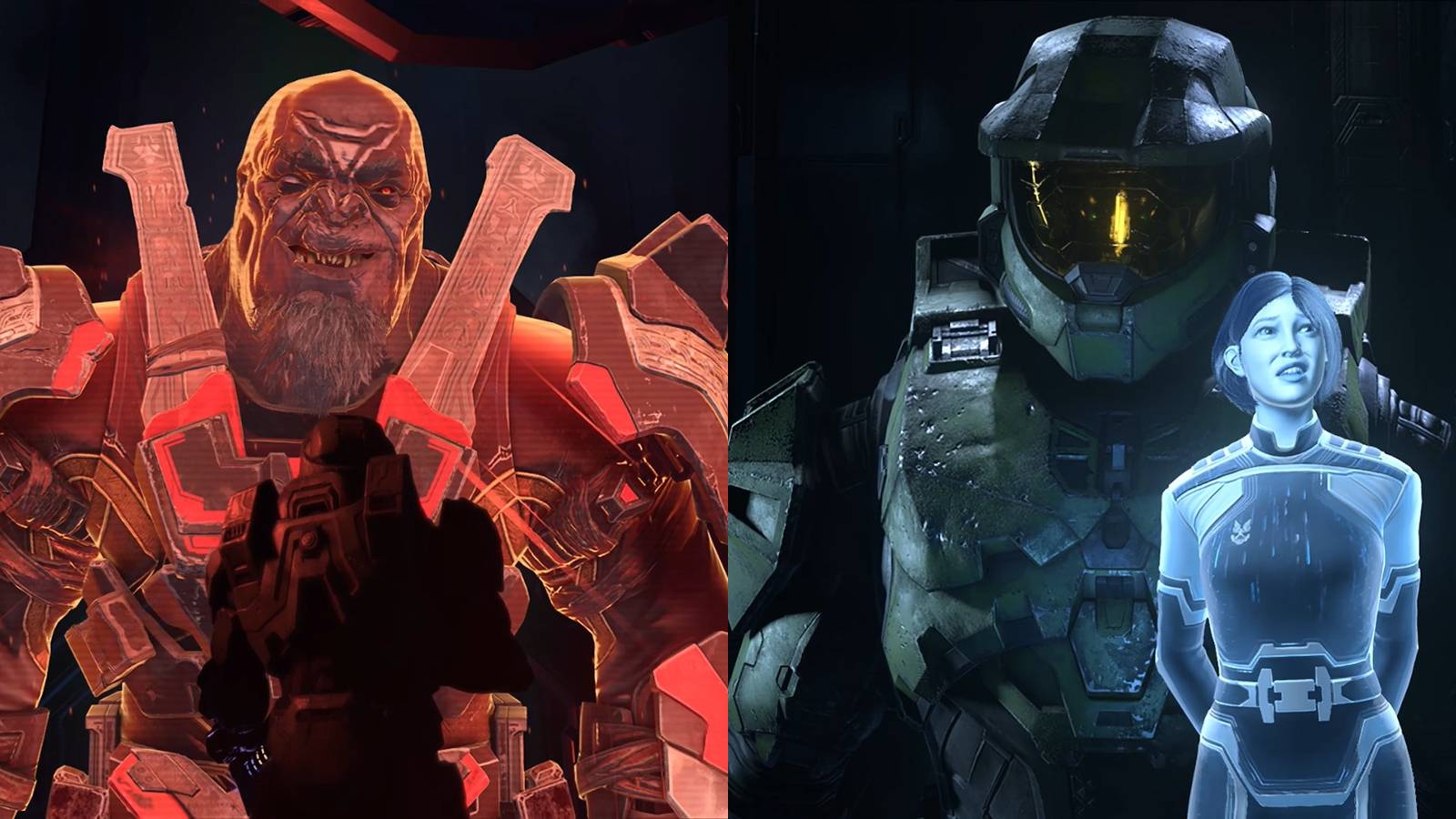 halo infinite repository collectibles