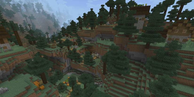 minecraft wooden village