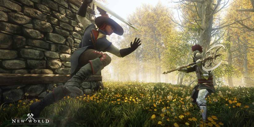 new world pvp rapier axe