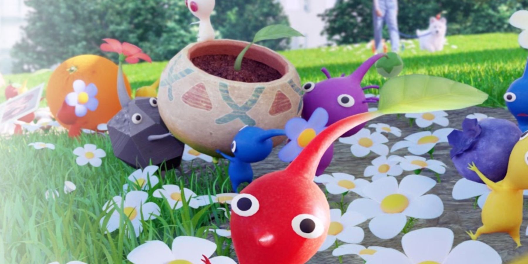 Pikmin Bloom How to Do Challenges