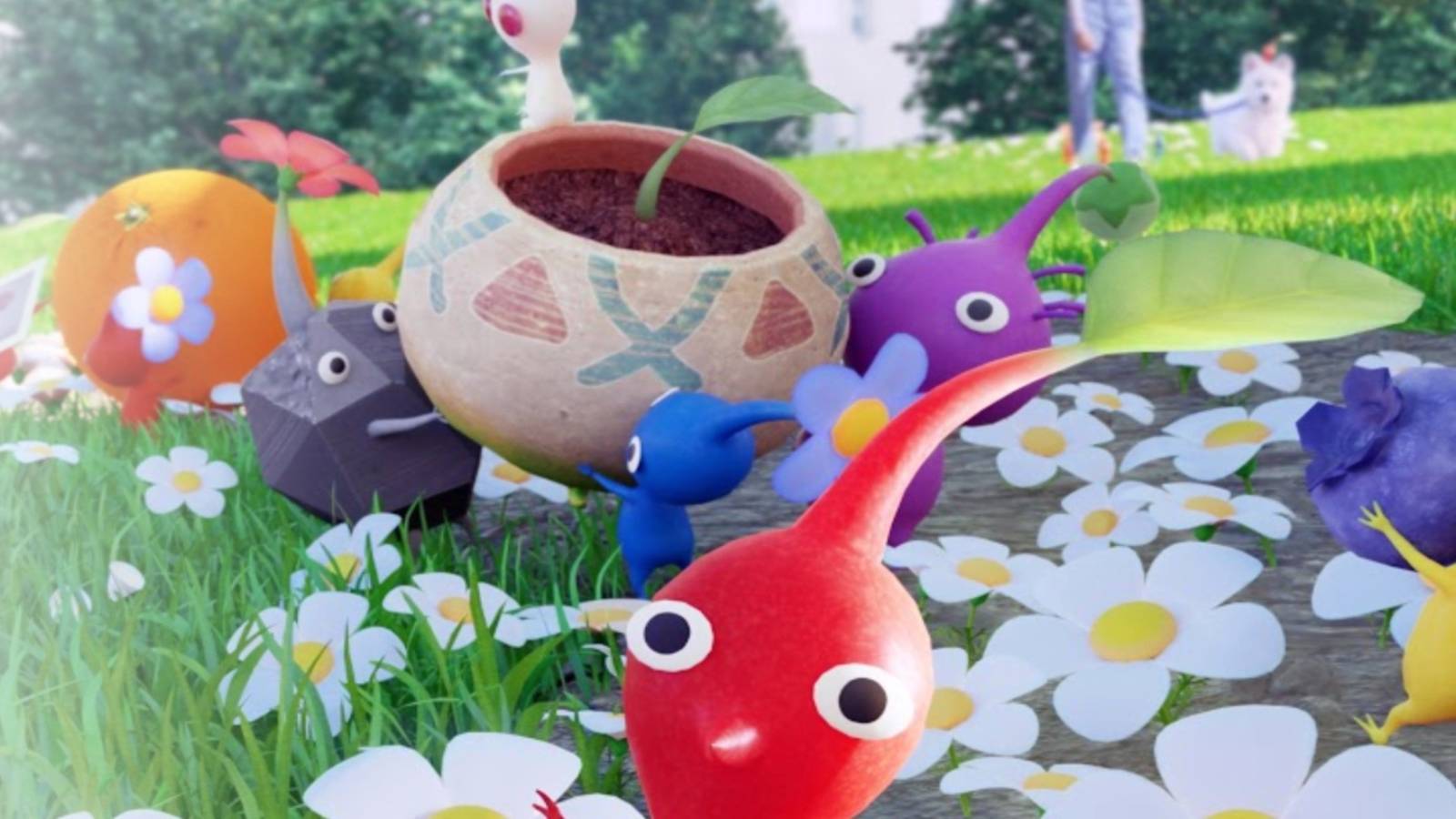 pikmin bloom app
