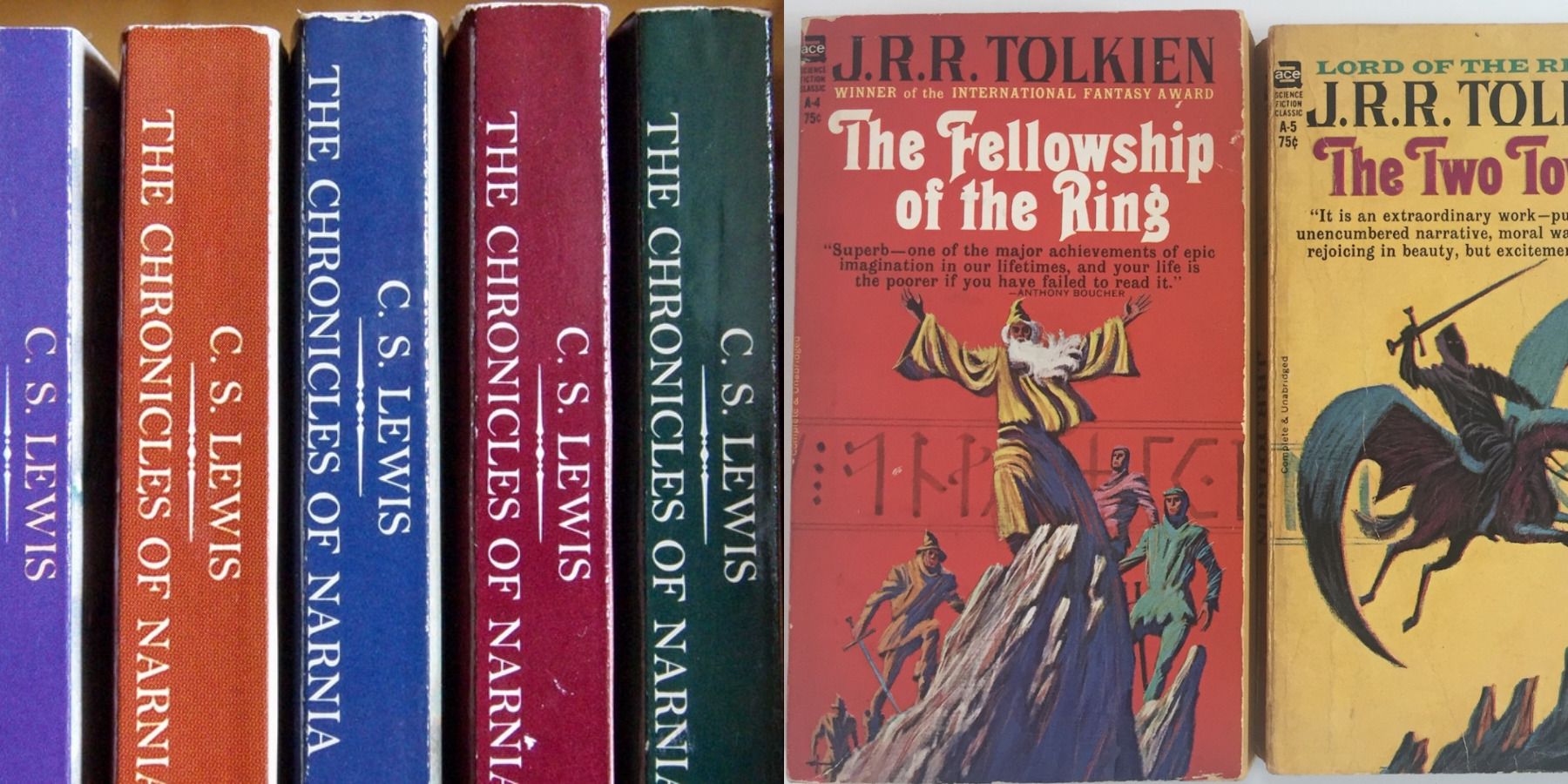 Fantasy books feature split image Chronicles of Narnia and Lord of the Rings