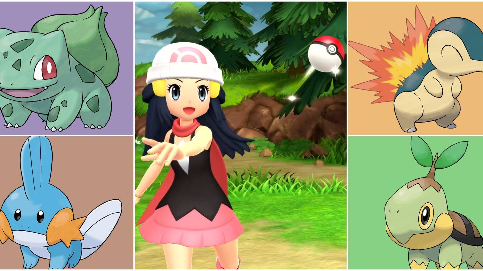 Center: dawn throwing pokeball. surrounding images: bulbasaur, cyndaquil, mudkip, turtwig