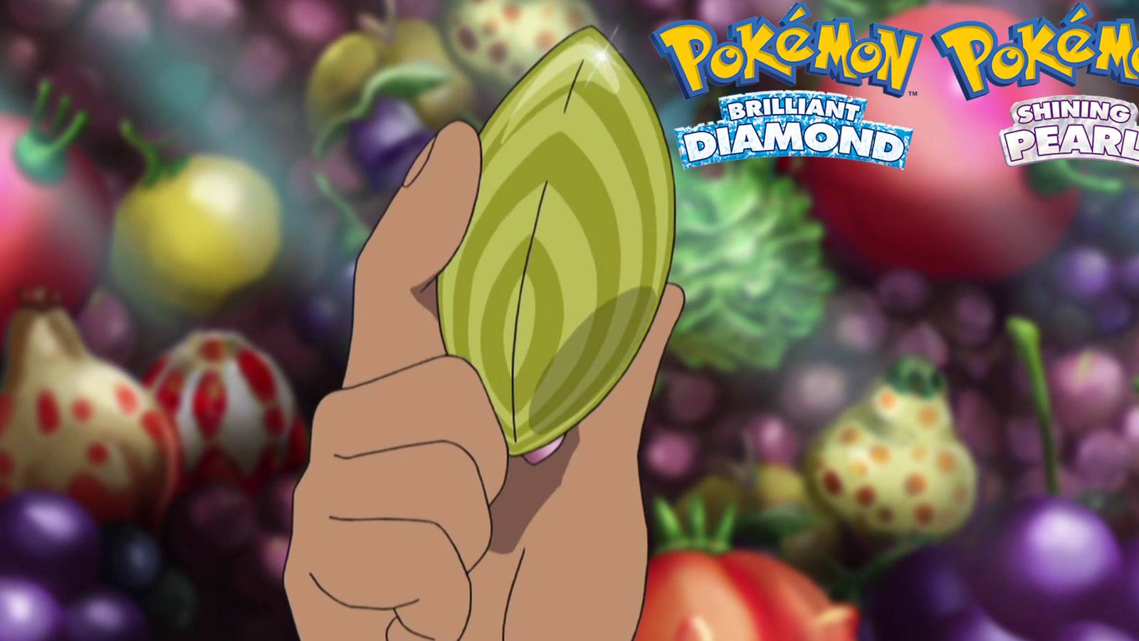 pokemon brilliant diamond shining pearl miracle seed
