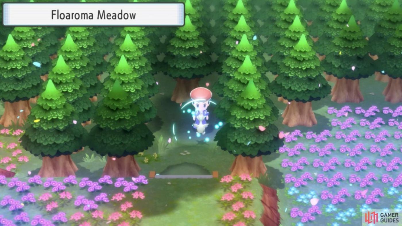 Pokemon Brilliant Diamond & Shining Pearl Where to Find Miracle Seed
