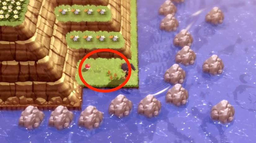 razor claw route 224 bdsp pokemon