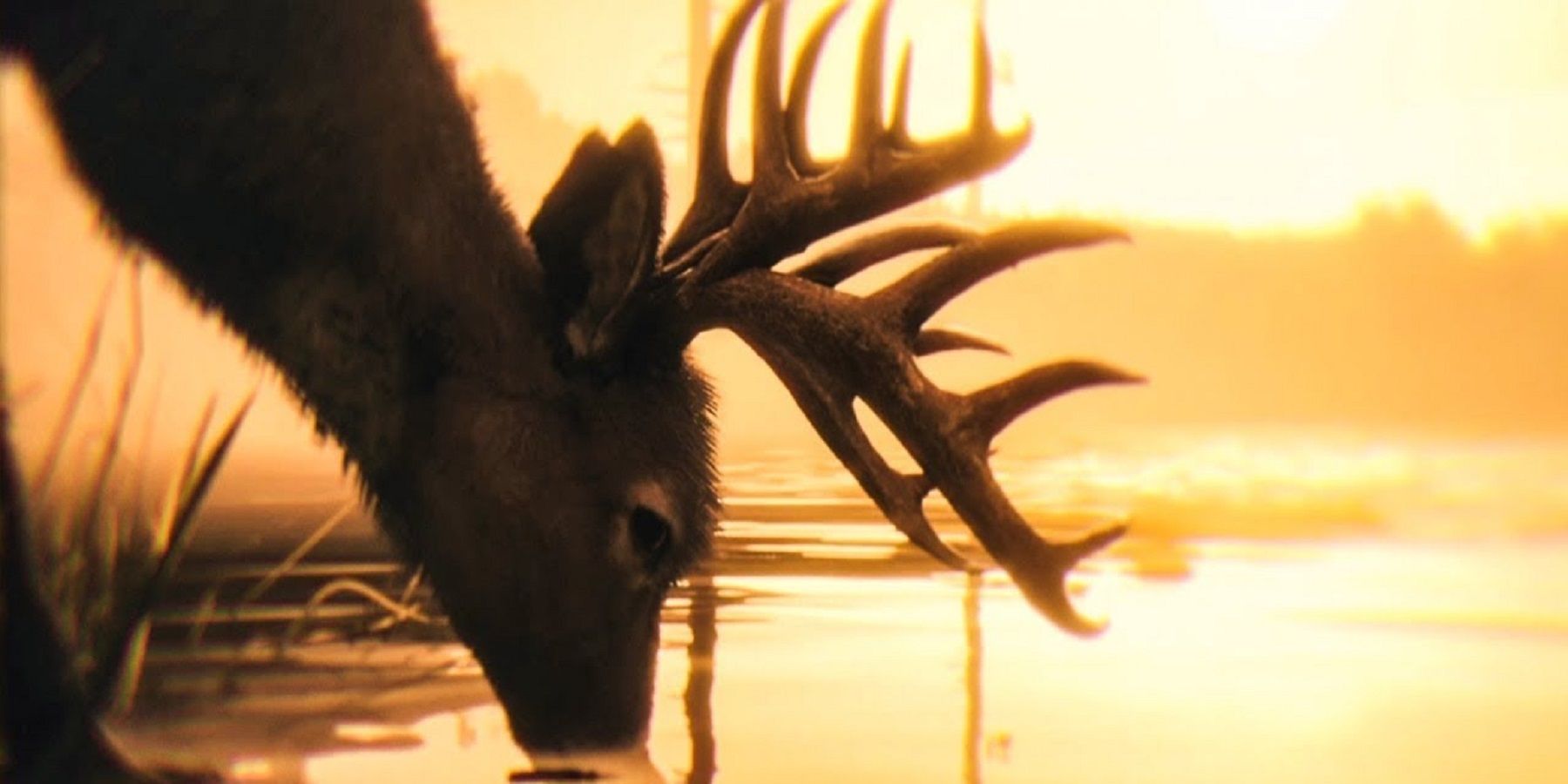 red dead redemption 2 deer drinking feature