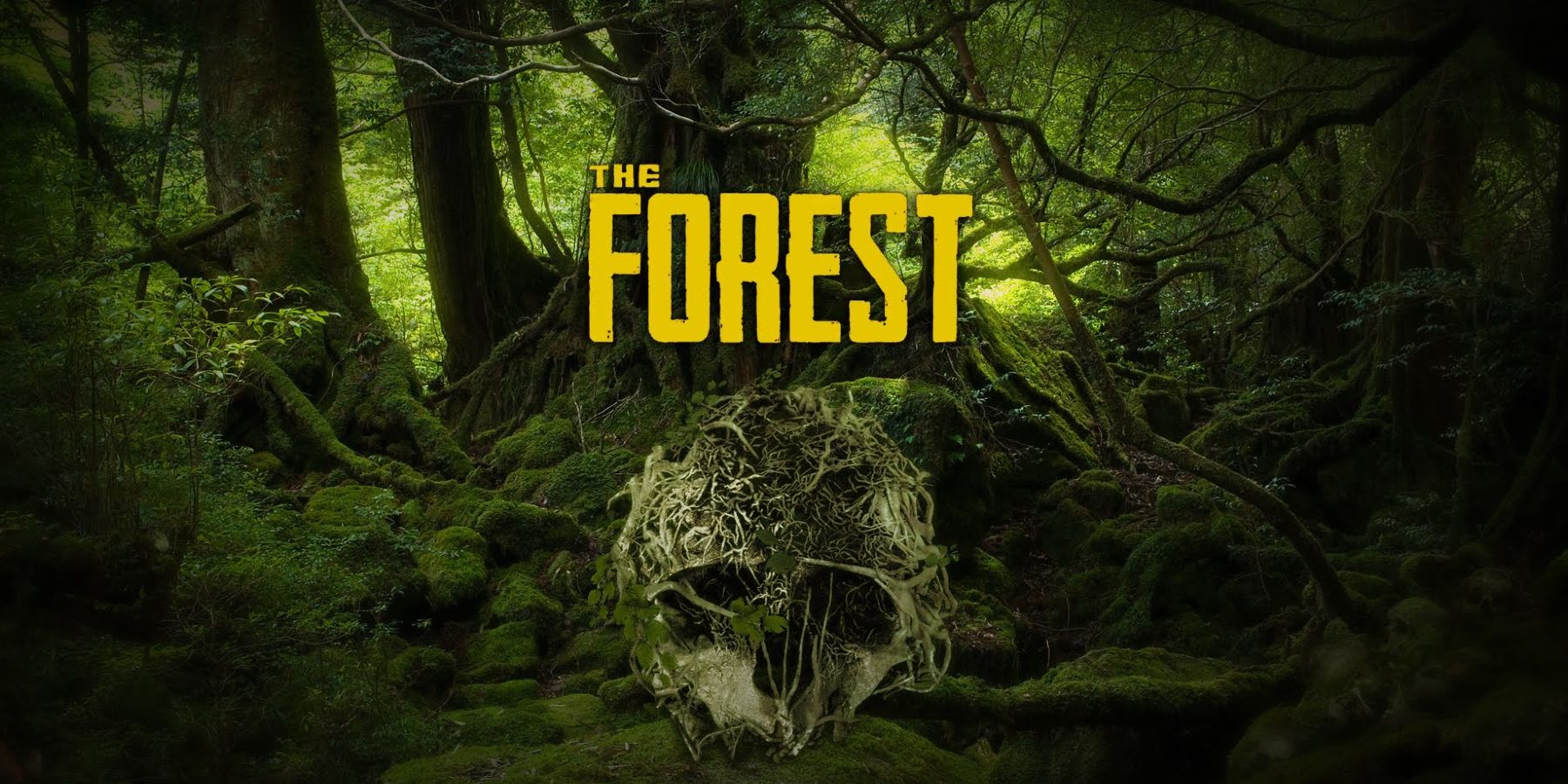 Disappointing Sequel: The Forest 2 - Lacks New Content [Review] — Eightify