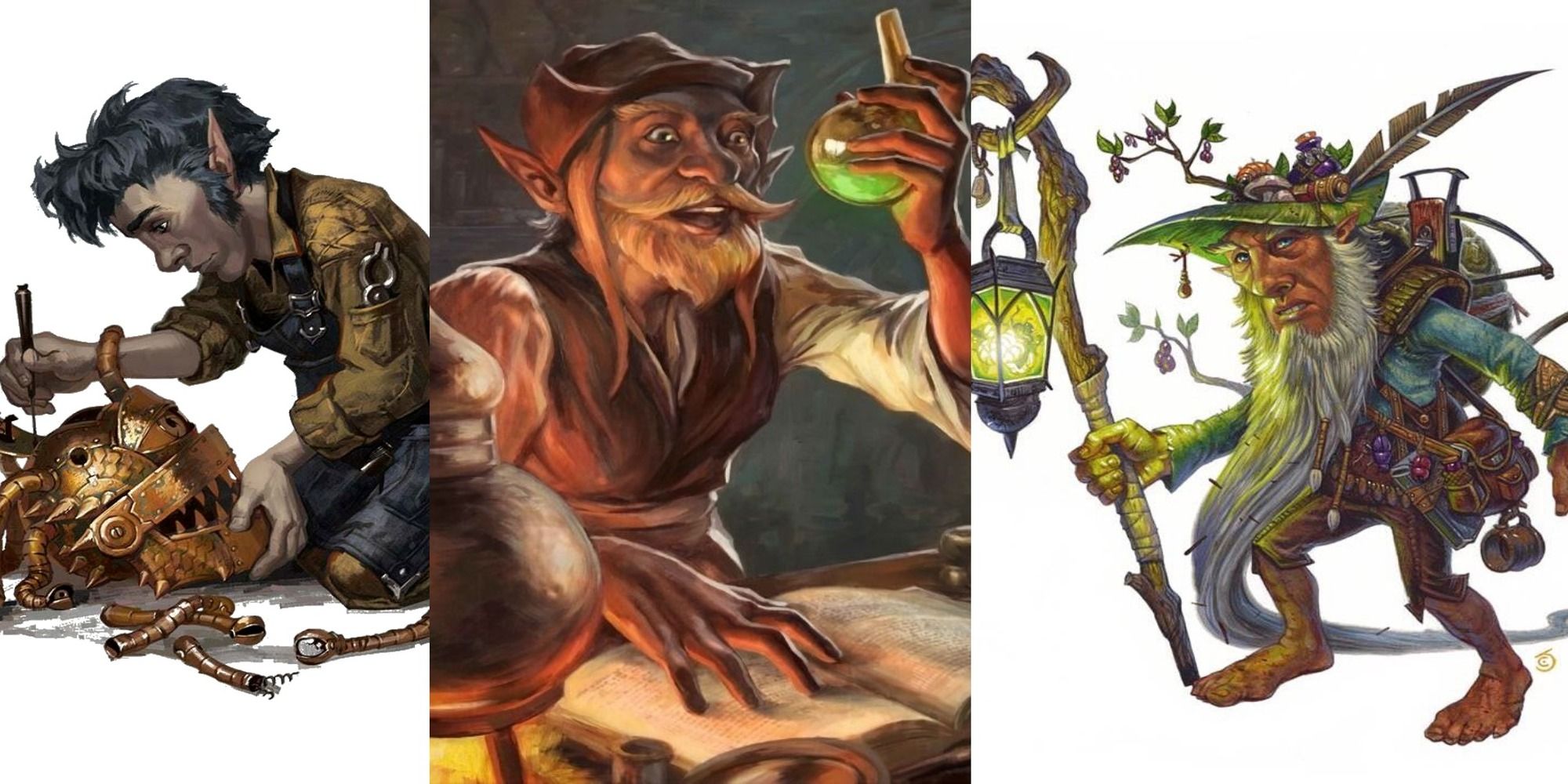 three gnome subraces split image tinker alchemist forest d&d