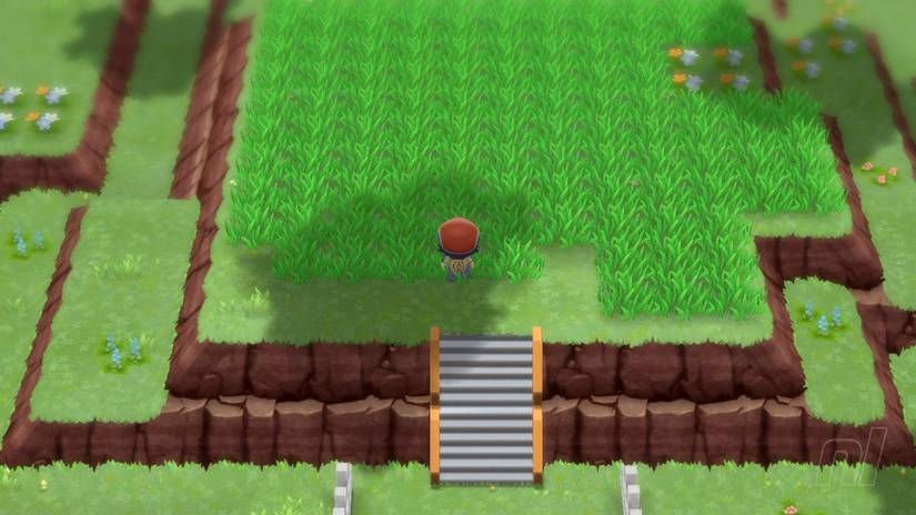 trophy-garden-pokemon-bdsp.large