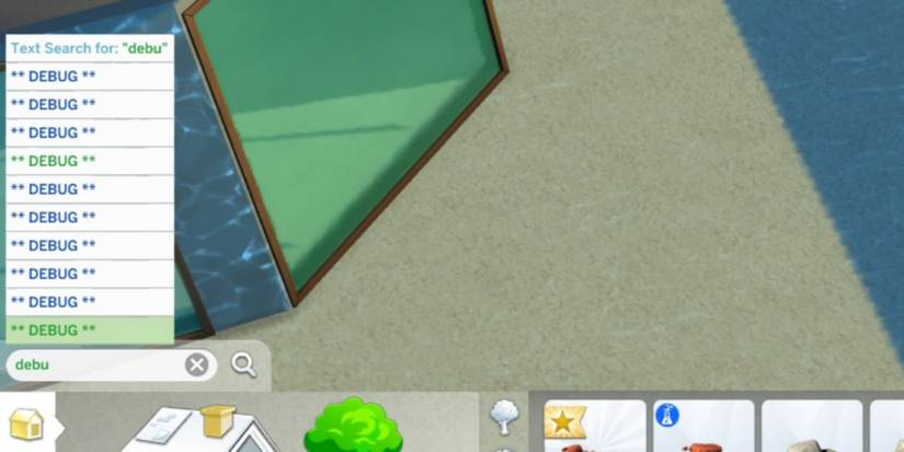 typing DEBUG in the search box