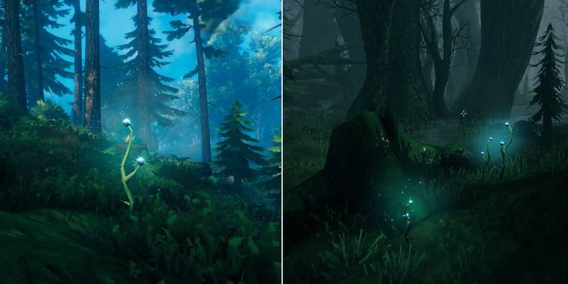 valheim thistle locations