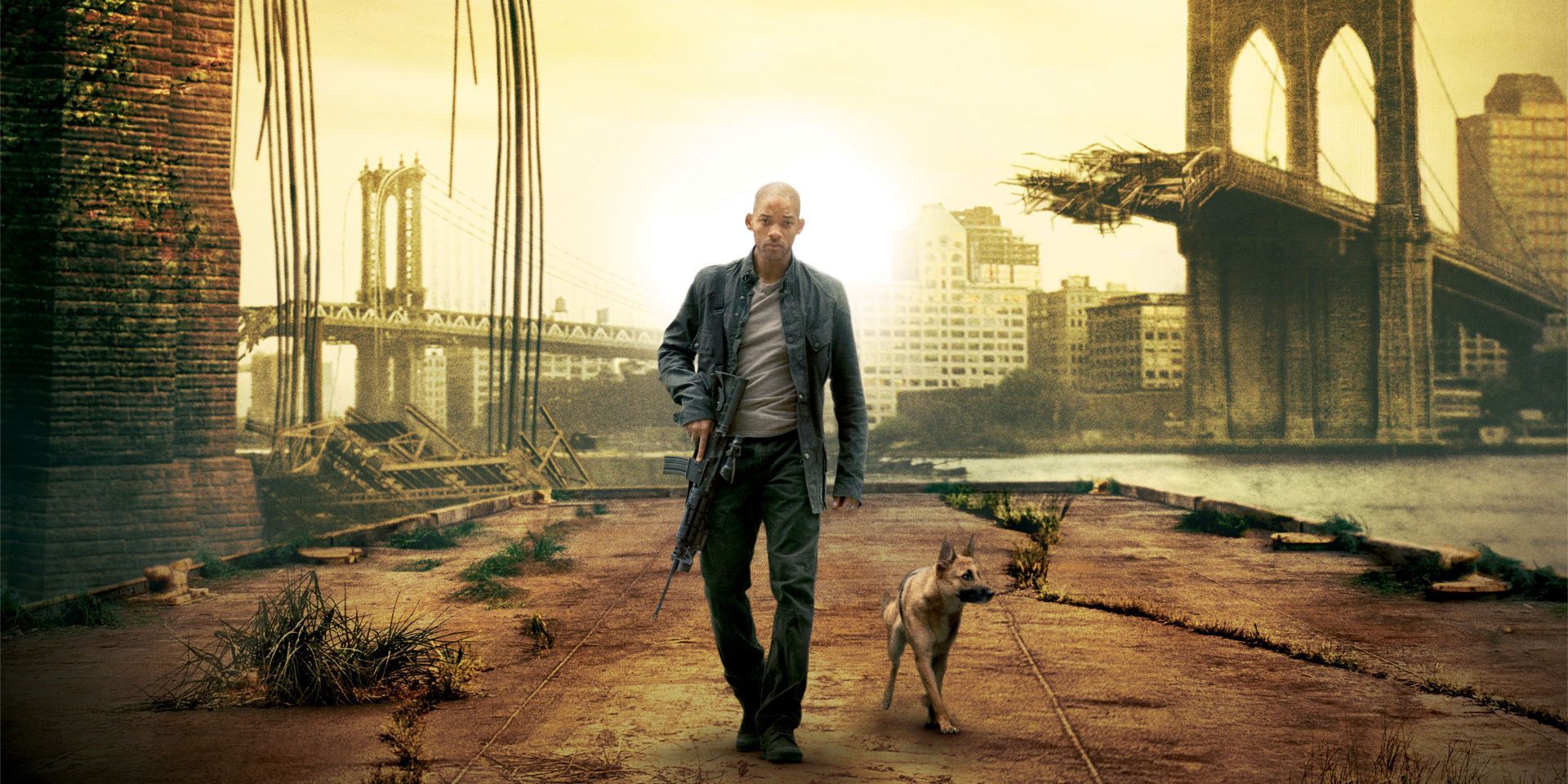 Robert with Sam the dog in I Am Legend