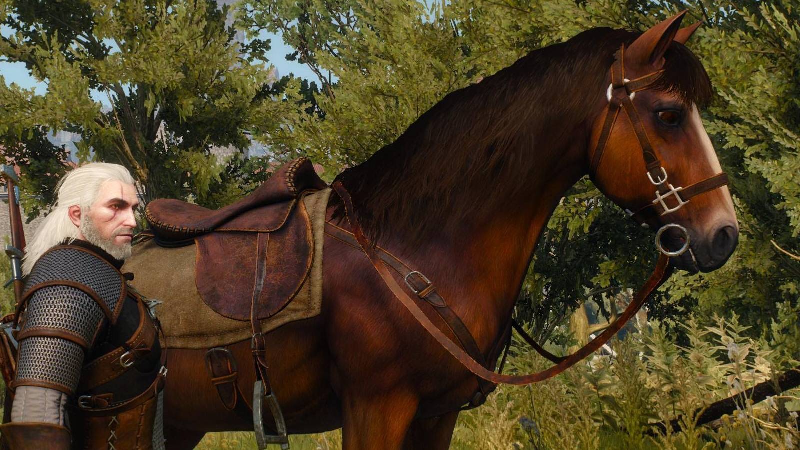 The-Witcher-3-Roach-Geralt-Screenshot