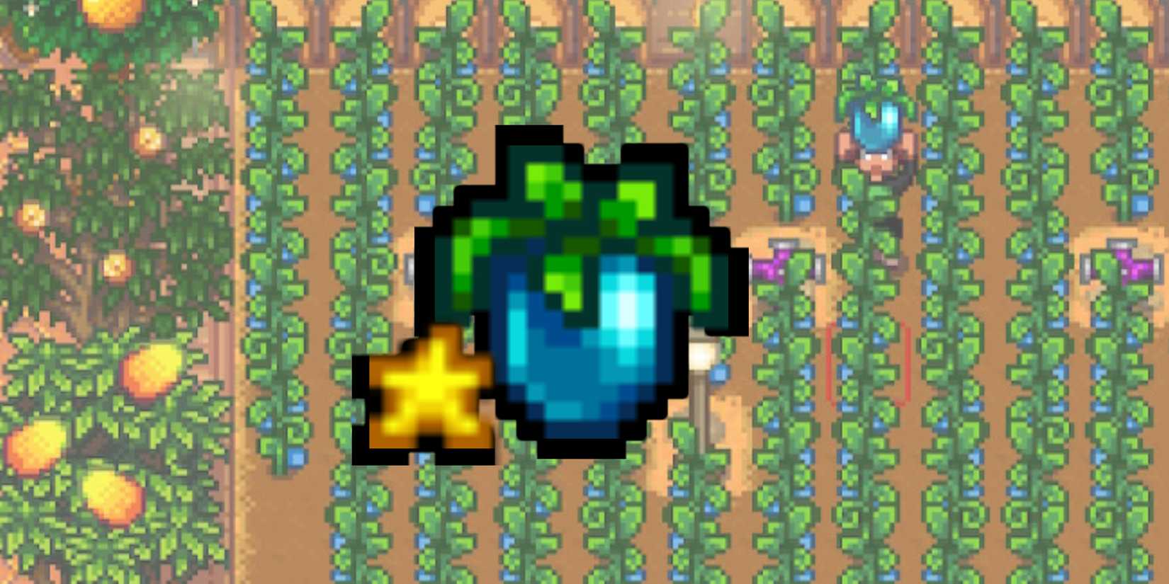 Ancient Fruit Stardew Valley