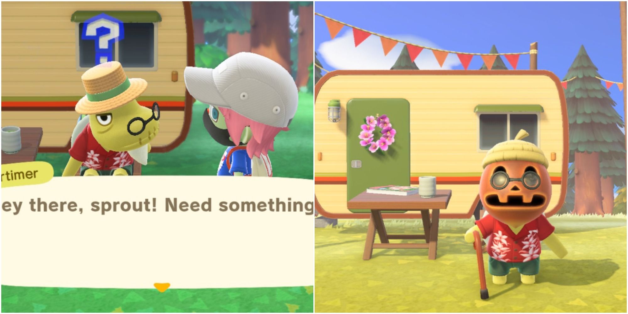 Animal Crossing New Horizons TORTIMER AND CORNIMER