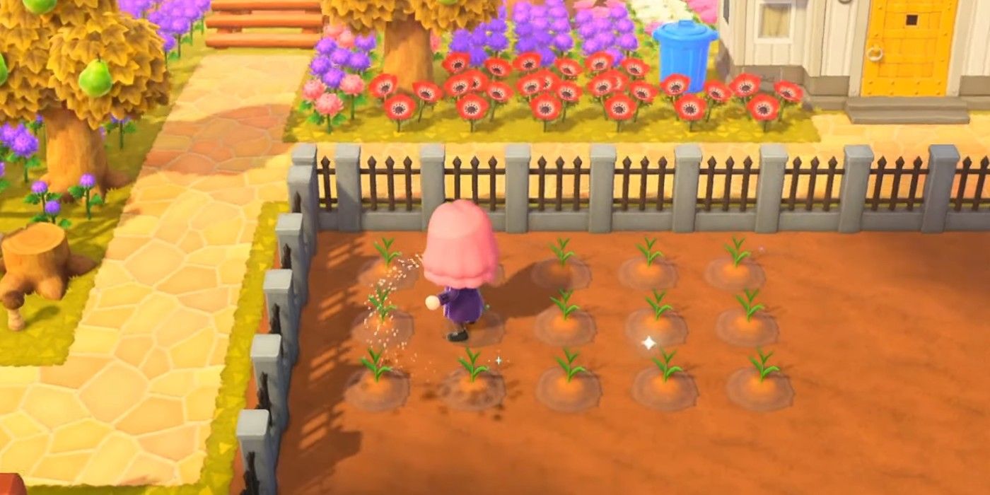 Animal Crossing New Horizons watering wheat on farm with flowers