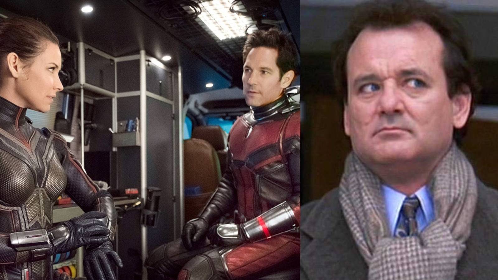 Ant-Man 3 Star Bill Murray