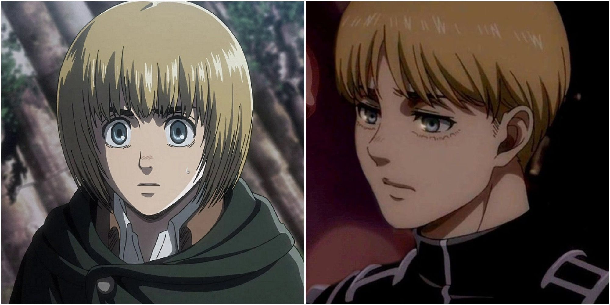 Attack On Titan: Collage Of Young And Old Armin 
