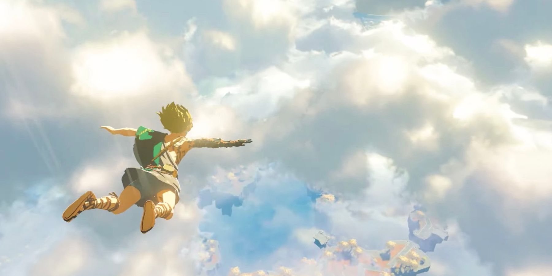 Breath of the Wild 2 Link falling