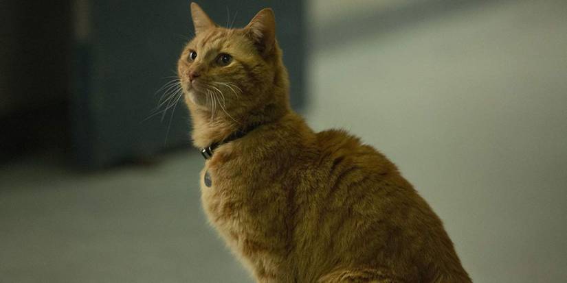 Captain-Marvel-Goose