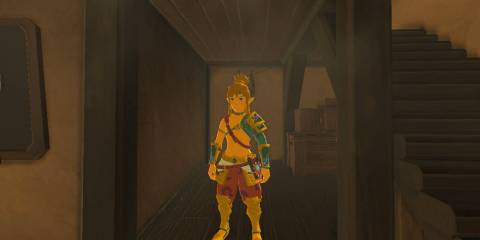 Desert Voe Set in The Legend of Zelda Breath of the Wild