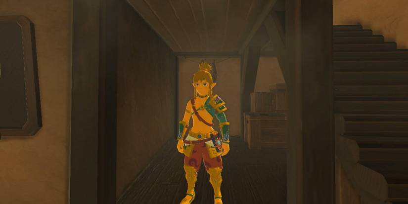 Desert Voe Set in The Legend of Zelda Breath of the Wild