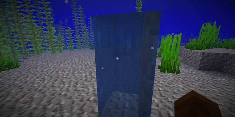 Door Airpocket Minecraft