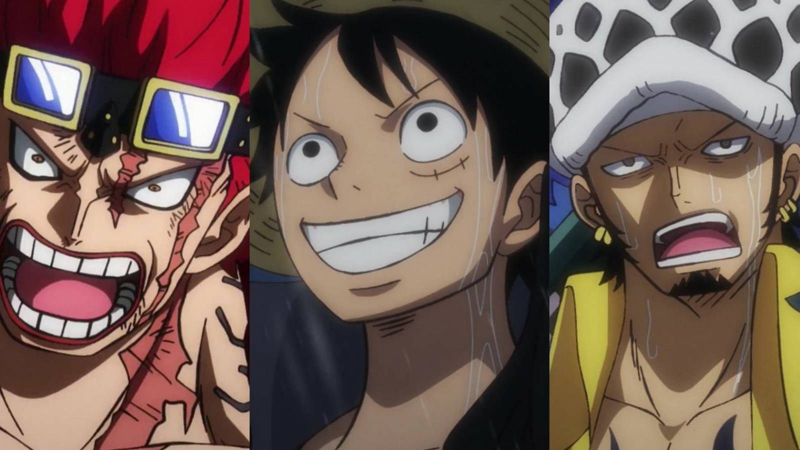 Featured Worst Generation Devil Fruits Law Luffy Kid