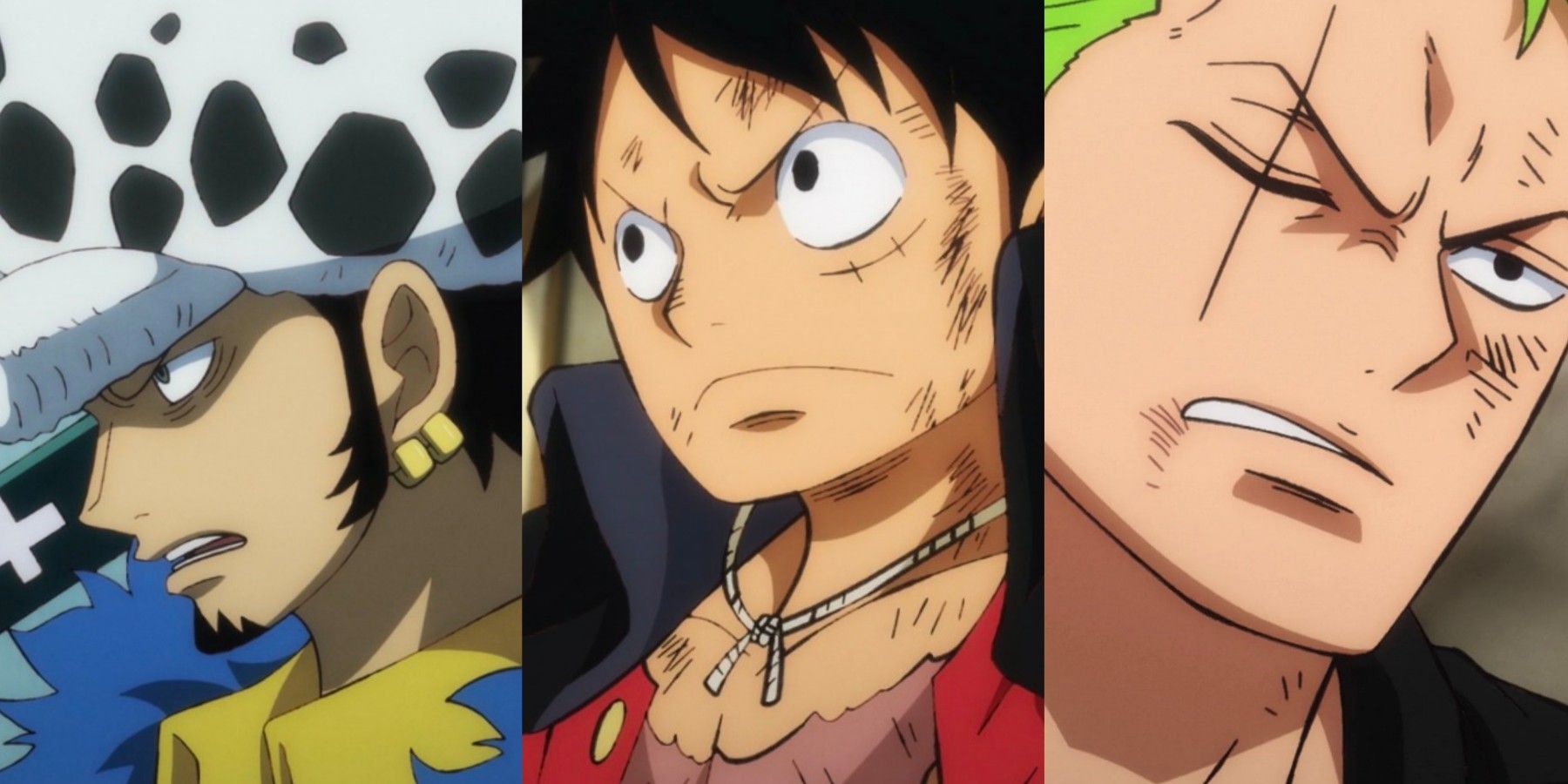 Featured Worst Generation Members Law Luffy Zoro