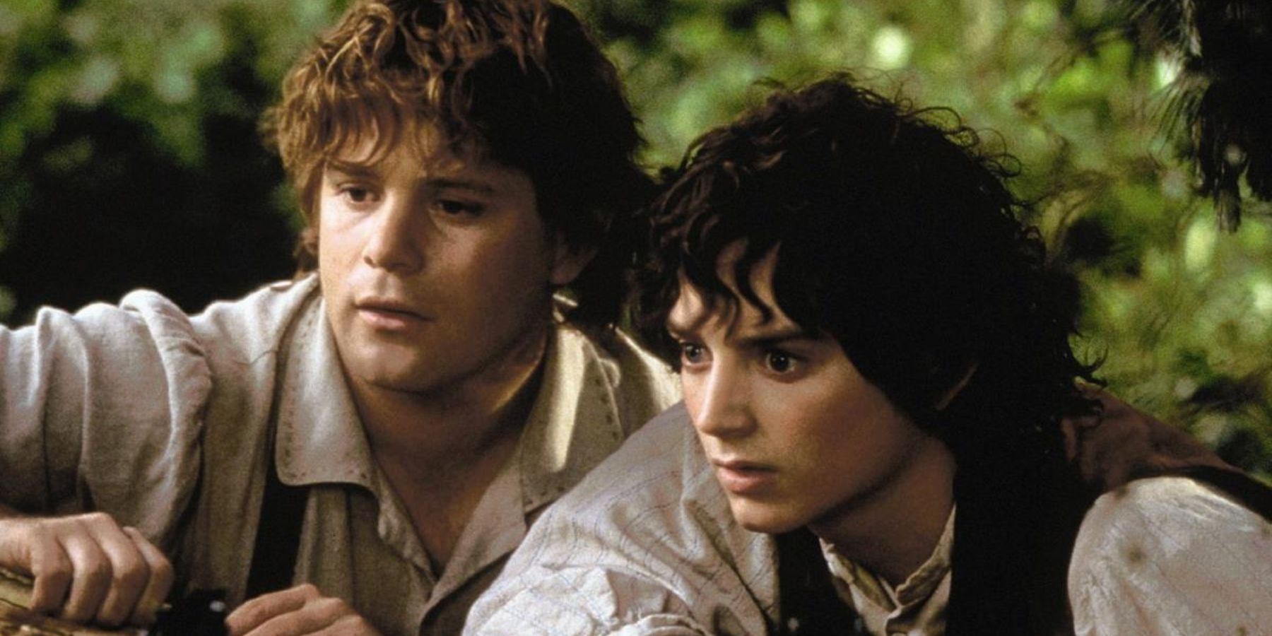 Frodo and Sam (1)