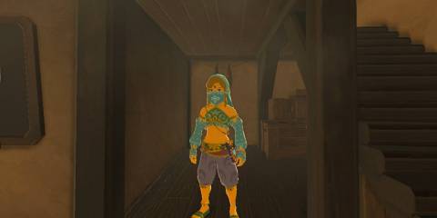 Gerudo Set in The Legend of Zelda Breath of the Wild