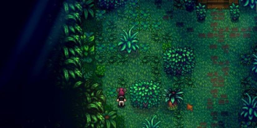 Ginger Island Forest in Stardew Valley