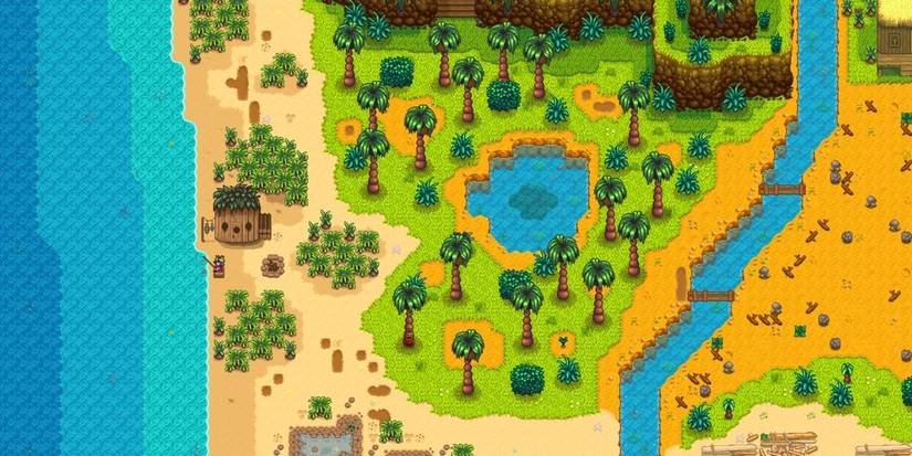 Ginger Island in Stardew Valley