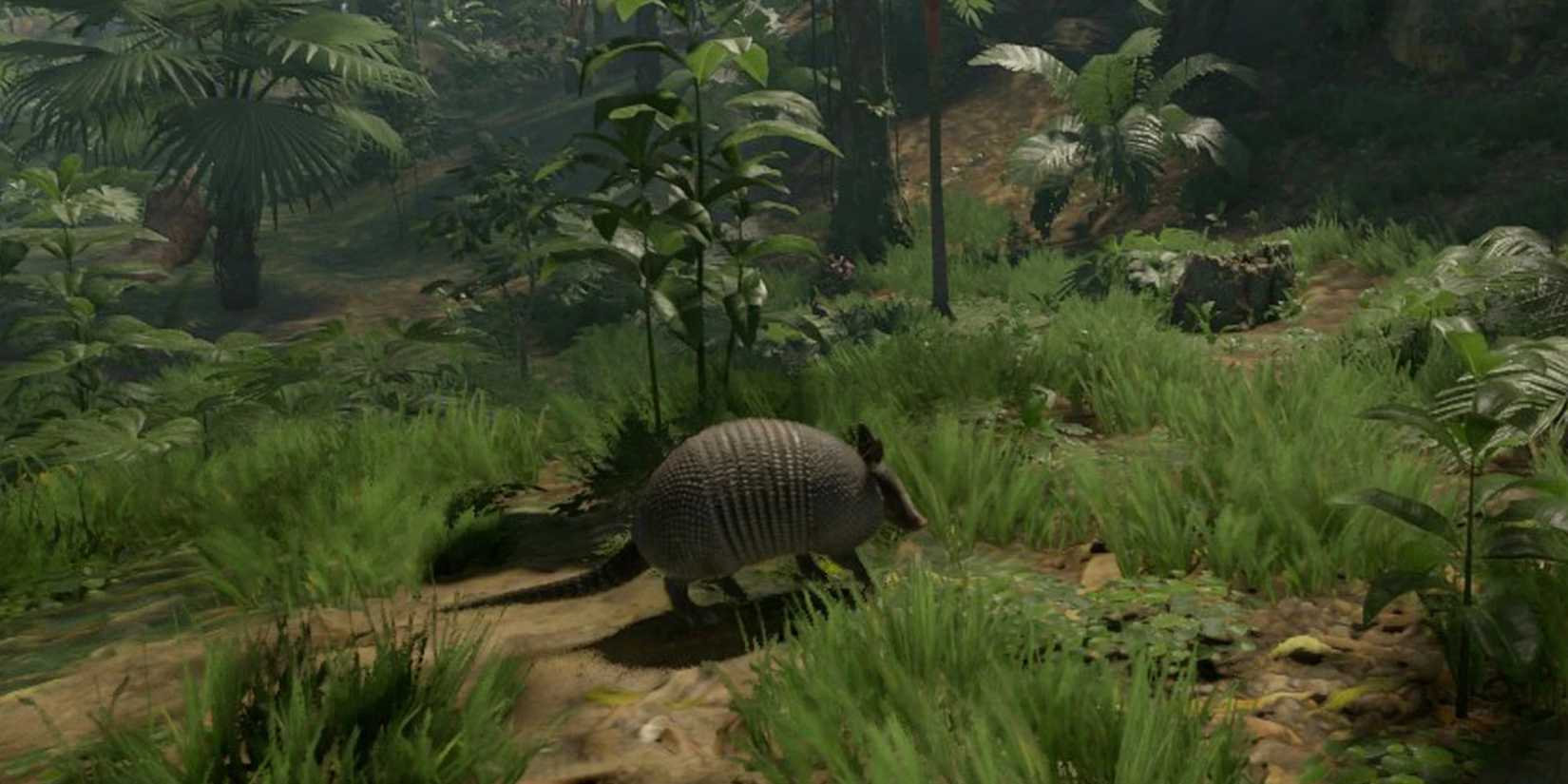 Green Hell Armadillo
