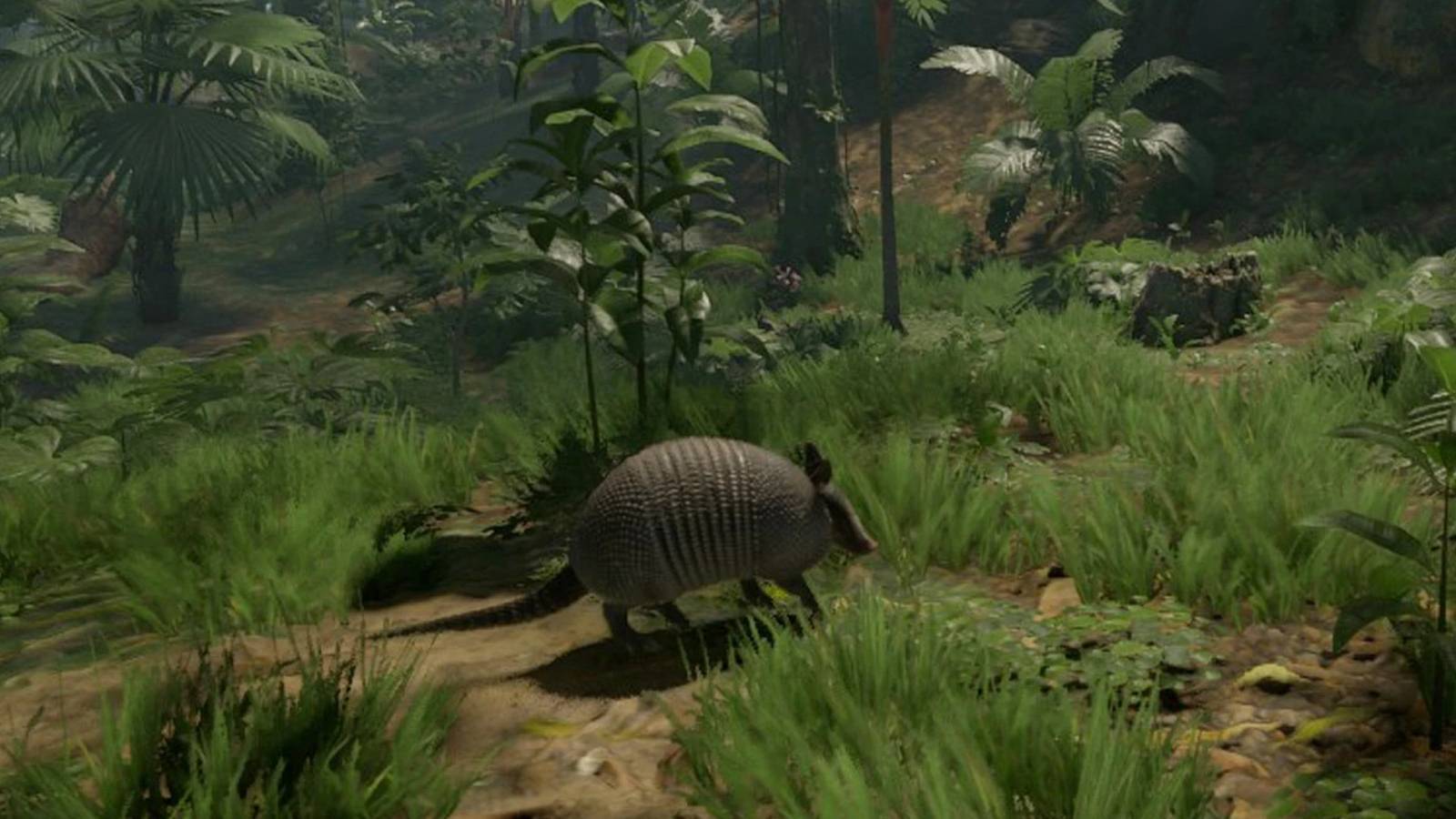 Green Hell Armadillo