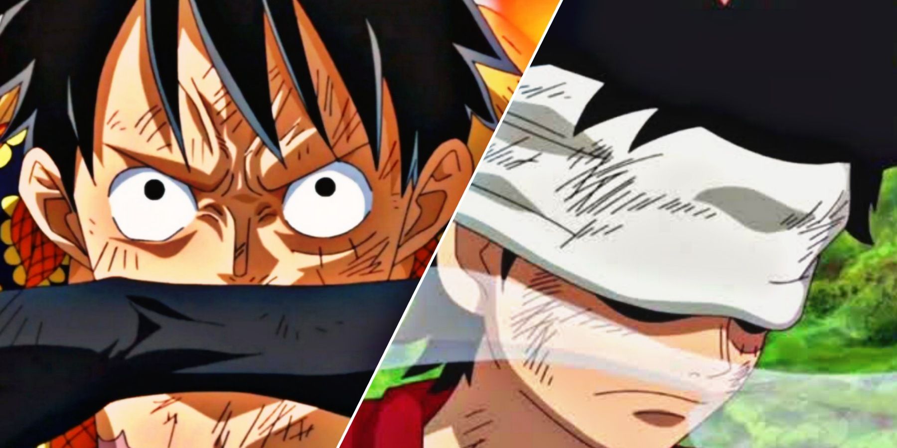 Do you guys think that Invisible Armament Haki is real? : r/OnePiece