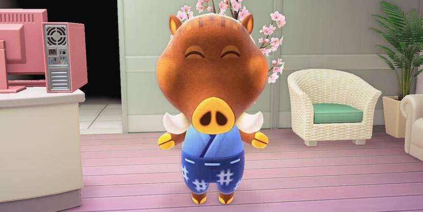 Joan smiling at the hospital in Animal Crossing Happy Home Paradise