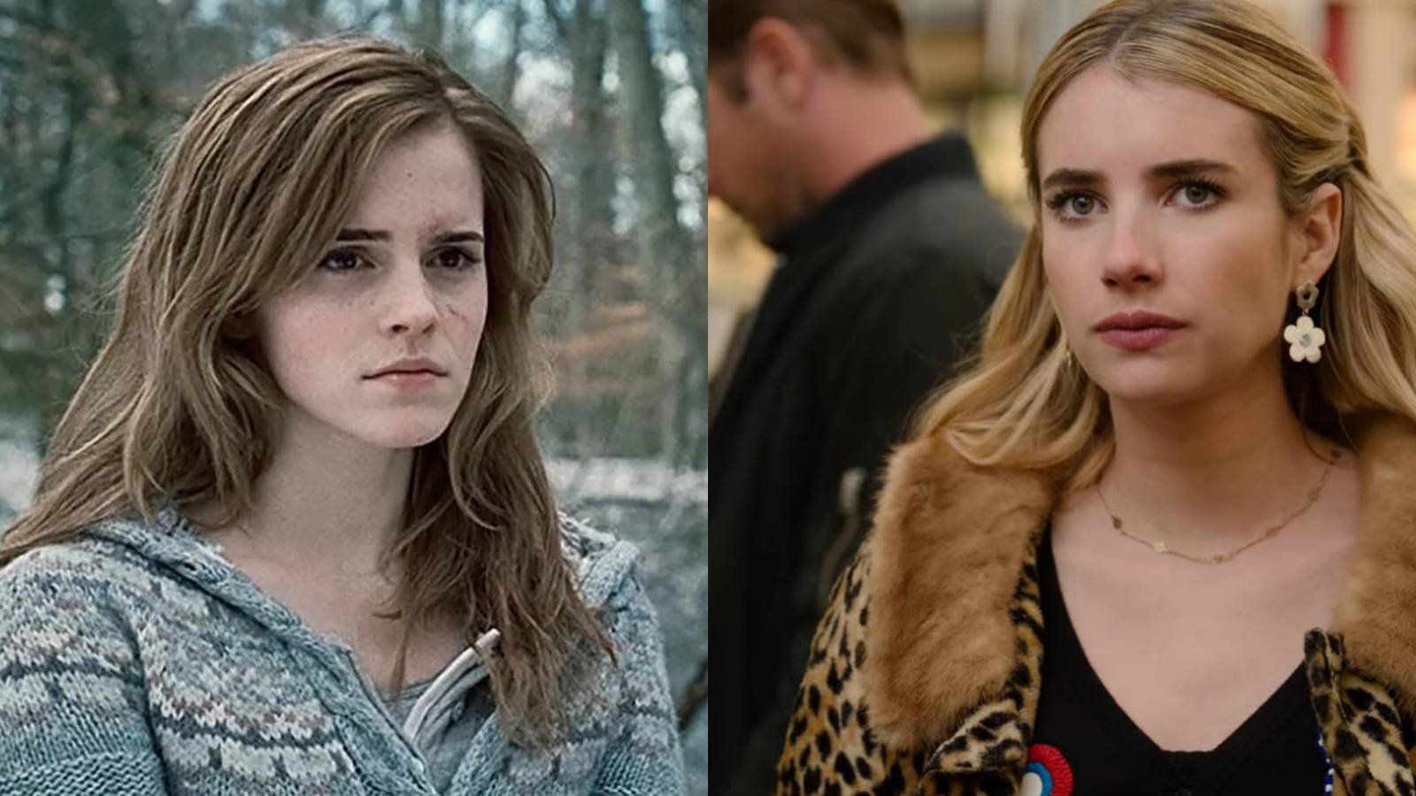 Harry Potter Reunion Emma Watson Harry Emma Roberts