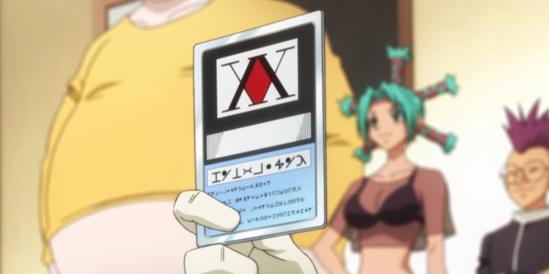 HxH The Hunter License