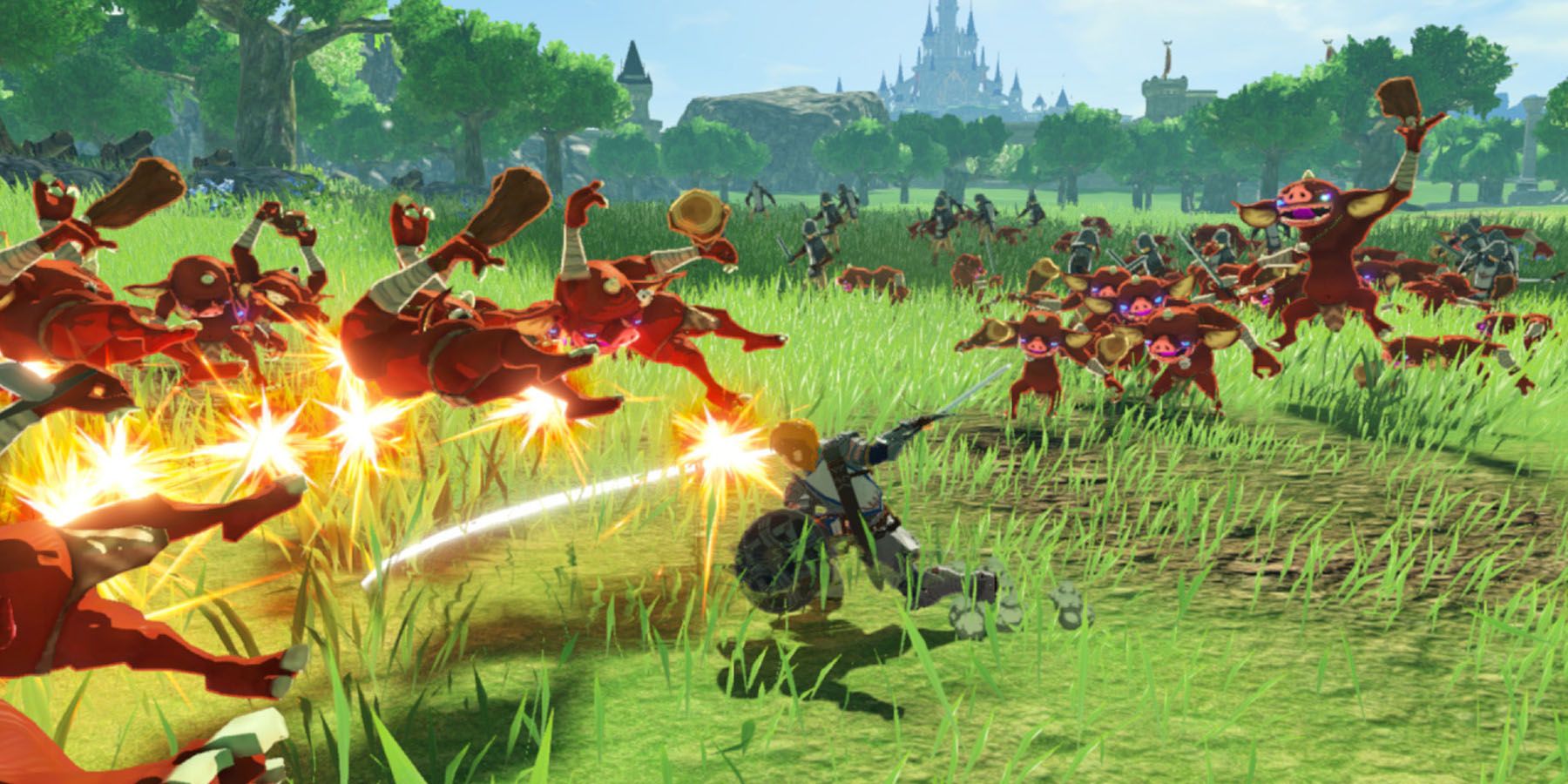 Hyrule Warriors Age of Calamity Grass