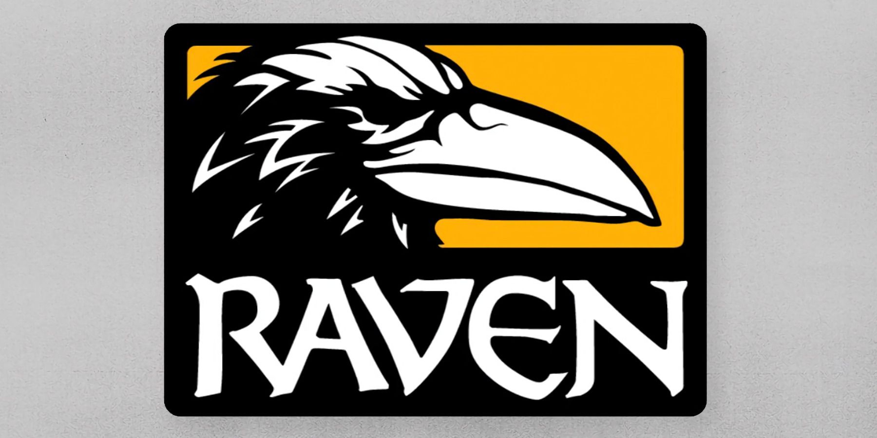 raven-software-official-logo-banner-union