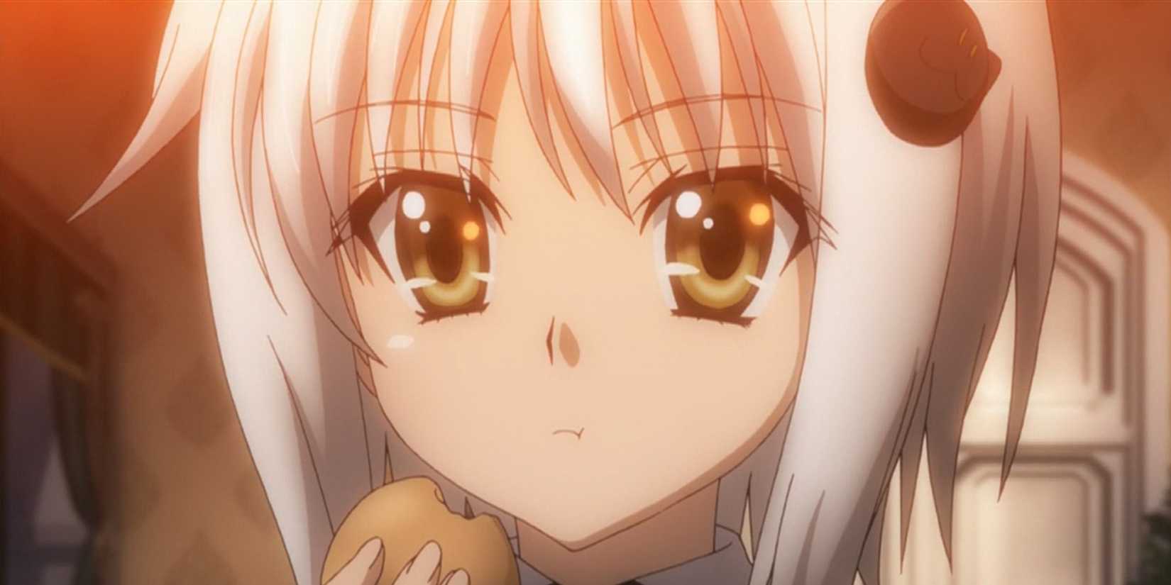 Koneko high school dxd anime