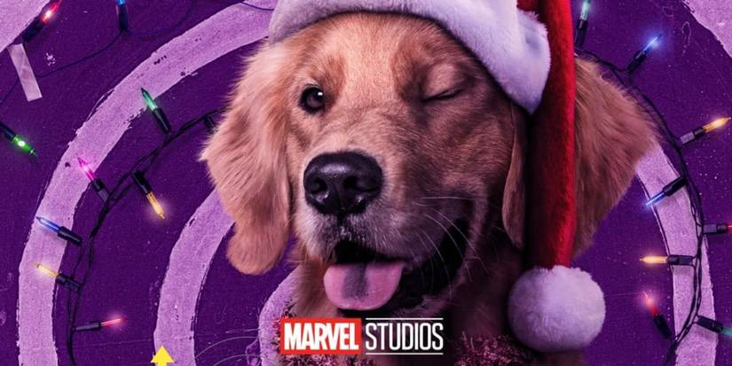 Lucky the pizza dog in Hawkeye