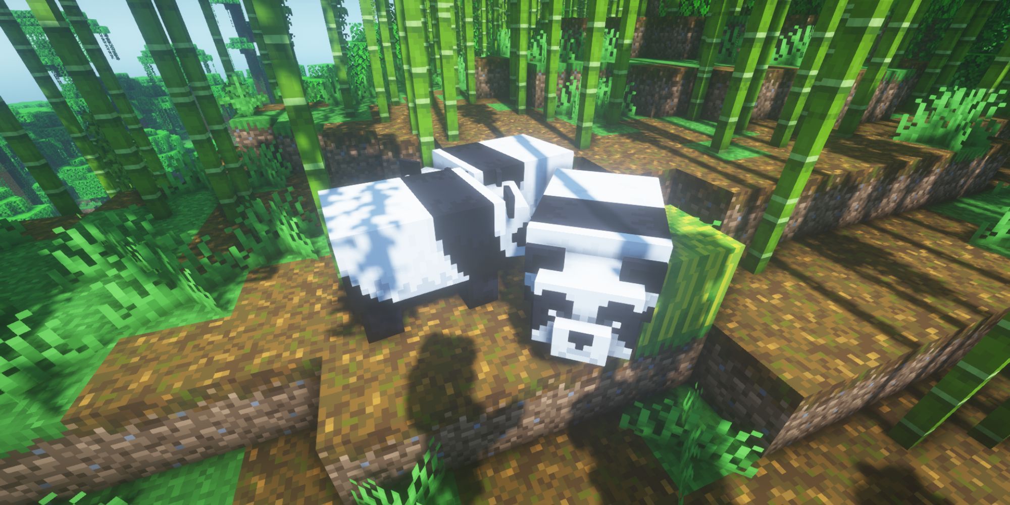 Minecraft Pandas In Bamboo Jungle