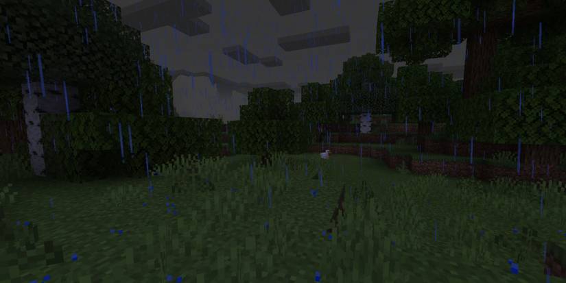 Minecraft Rain